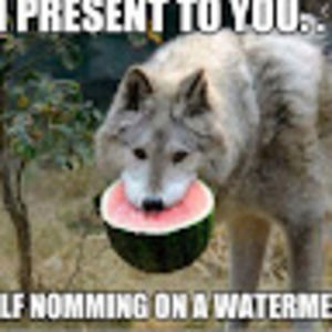 Meet your Posher, Logo